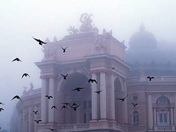 Берегись тумана: какая погода будет в Одессе сегодня