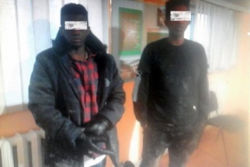 Пограничники со стрельбой задержали двух сомалийцев на границе с Венгрией