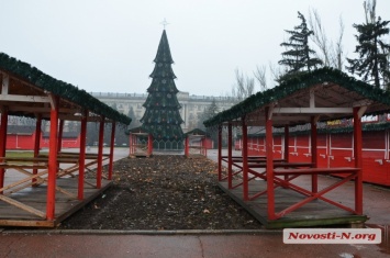 В Николаеве установили главную городскую елку