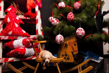 Новогодний хенд-мейд: одесские мастера делают елочные игрушки из фетра, туалетной бумаги, пряжи и дерева