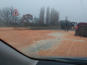 Участок автодороги «Николаев-Киев» под Себино усеян кукурузой - там перевернулась фура