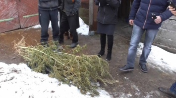 На Николаевщине у жителя пгт обнаружили 1,5 кг наркотиков и гранату