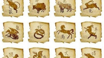 Китайский гороскоп на 2019 год для каждого знака зодиака