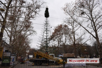 У Каштанового сквера в Николаеве устанавливают елку