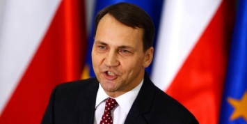 Экс-глава МИД Польши: венгерские политики готовы к силовому захвату Закарпатья