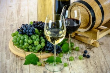 Химики объяснили «тухлый» аромат и привкус вина