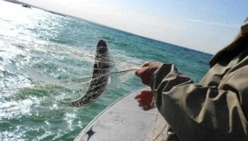 Рыбаки не смогут выходить в Азовское море без соглашения с РФ - Госрыбагентство