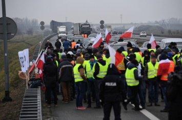 ''Желтые жилеты'' добрались до Польши: что требуют