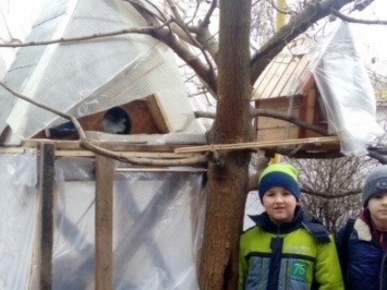 В Запорожской области появилось зимнее общежитие для животных (Фото)