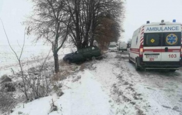 На трассе под Киевом водитель врезался в дерево и погиб