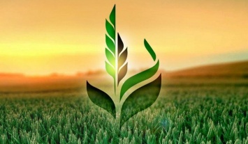 В "Аграрном фонде" исчезло зерно на 18 миллионов