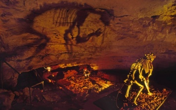 Впервые показан полный скелет вымершего сумчатого льва