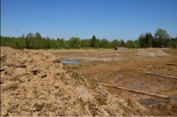 Рак в песочницах: экологи шокировали состоянием украинских городов