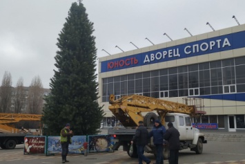 В Черноморске с главной елки города украли гирлянду