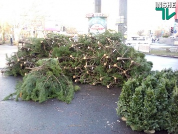 В Николаеве определили места для продажи новогодних елок - город не получит плату за использование земли