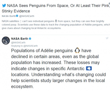 В Антарктиде спутнику нашли "столицу" пингвинов, которой 3 000 лет