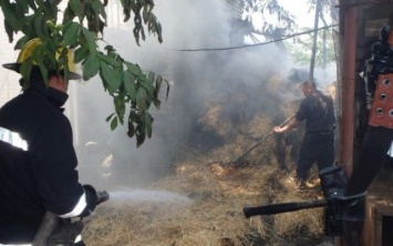 В текущем году в Каховке и Каховском районе произошло 219 пожаров