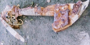 Уникальный древний якорь нашли в Одесской области (Фото)