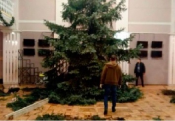 Скандал: Возле театра в Запорожье срубили елки