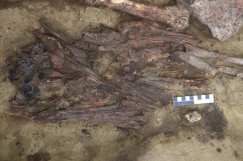 Археологи нашли в Новосибирской области загадочный предмет из клювов птиц