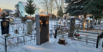 Власти Стерлитамака спилили новогоднюю елку с могилы главного архитектора города