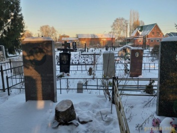 В российском городе Стерлитамак елку для детского городка срубили на кладбище