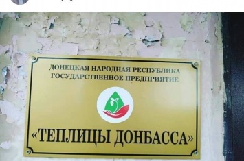 В Донецке показали гибель "детища" Захарченко (фото)