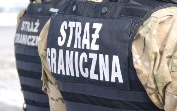 В Польше задержали украинца с девятью пистолетами