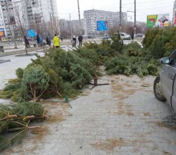 На пр. Мира Днепра снесли елочный базар