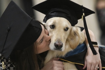 В США собака-поводырь получила диплом о высшем образовании