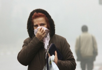 Норма загрязнения воздуха на окраине Москвы превышена в 11 раз