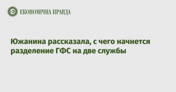 Южанина рассказала, с чего начнется разделение ГФС на две службы