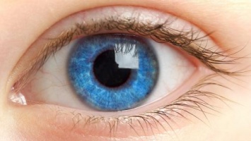 Ученые создали глазные капли, способные спасти от полной слепоты