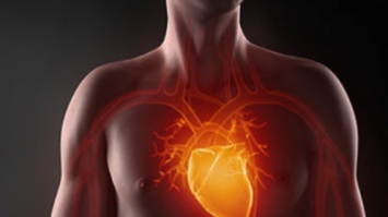 Кардиологи назвали напиток, убивающий сердце