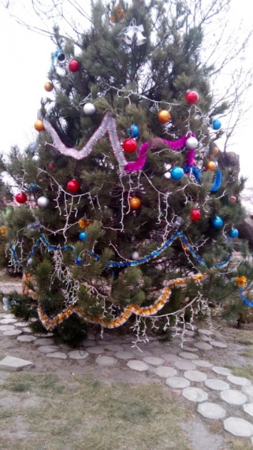 Жители Вилково недовольны елкой от городских властей
