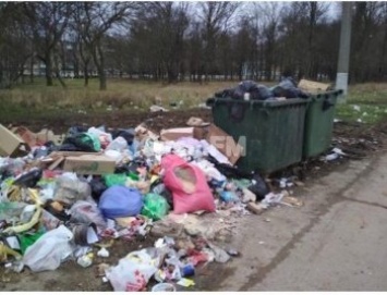 Бороздин рассказал, кто и когда уберет мусор в Керчи