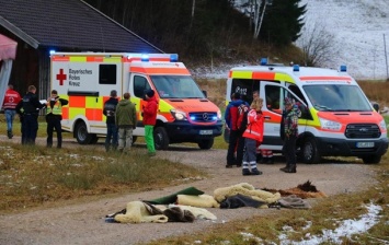 При столкновении повозок в Германии пострадали 20 человек