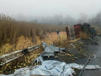 По запорожской трассе рассыпались сотни килограммов яблок (Фото)