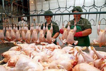 Китай снял запрет на ввоз продукции украинского птицеводства