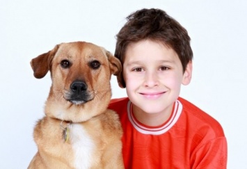 Домашние животные способствуют снижению аллергий у детей