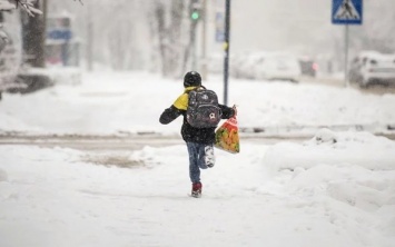 В Черкассах и Полтавской области школьников отправили на зимние каникулы раньше: названа причина