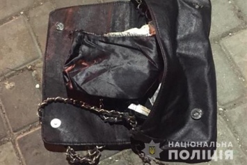 В Запорожской области мужчина вырвал сумку у пенсионерки и скрылся на иномарке