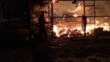 В Запорожской области загорелся гараж с тремя автомобилями - фото