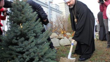 Глава УГКЦ призывает не ставить живые елки на Новый год и Рождество