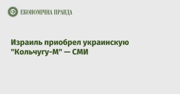 Израиль приобрел украинскую "Кольчугу-М" - СМИ