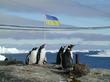 В ЦИК объяснили, как будут голосовать на выборах моряки в плавании и полярники