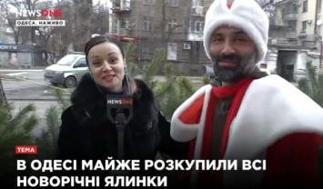 В Одессе на елочных базарах почти все: корреспондент NEWSONE узнала, за сколько отдают последние елки
