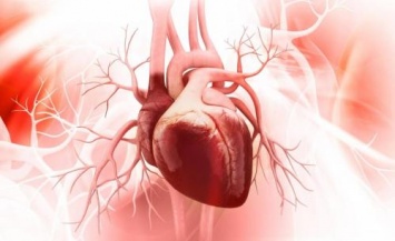 Смертность от болезней сердца зимой увеличивается на 50%