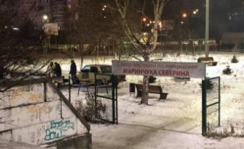 В Днепре в новогоднюю ночь пьяная компания жарила шашлык в детском сквере (ФОТО)