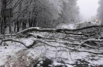 На Закарпатье из-за снегопада без электричества остались 35 населенных пунктов